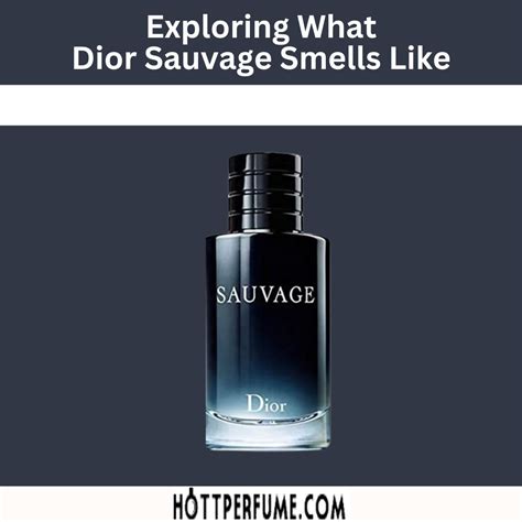 dior sauvage smells like cheap cologne|colognes similar to dior sauvage.